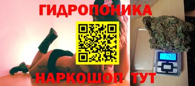 шишки Комсомольск-на-Амуре
