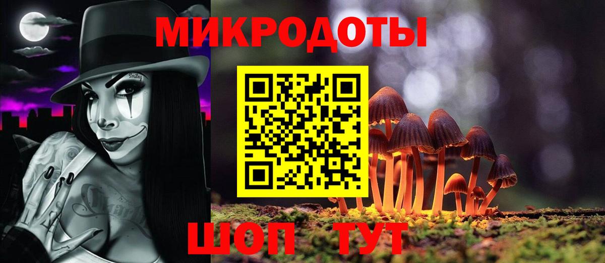 Псилоцибиновые грибы Psilocybe  Вход с VPN  Кинель 